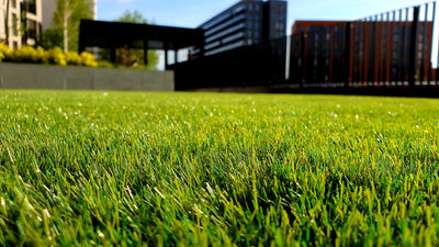 What are the Key Benefits of Artificial Grass?